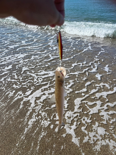 釜谷浜海水浴場