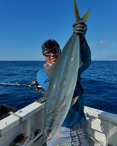 ツムブリの釣果