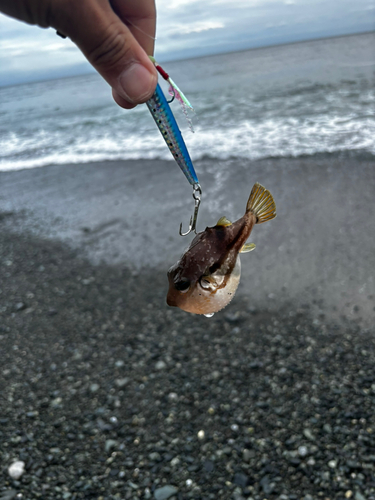 二宮海岸