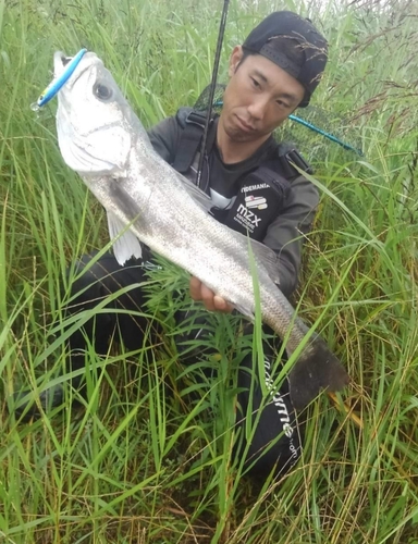 しまなみ海道