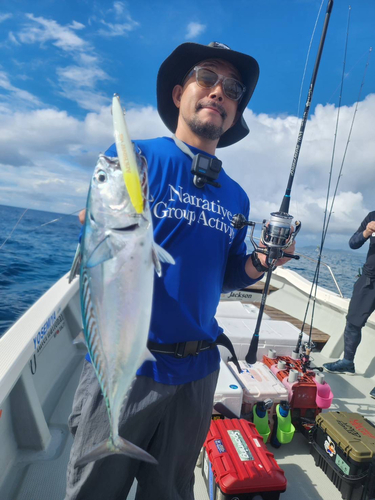 スマガツオの釣果