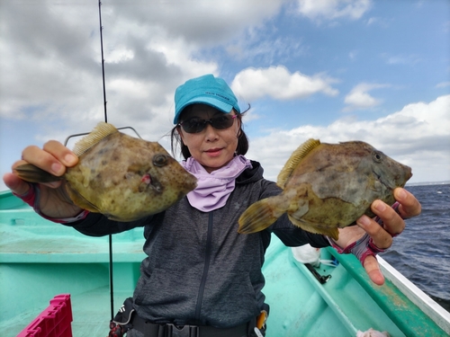 カワハギの釣果