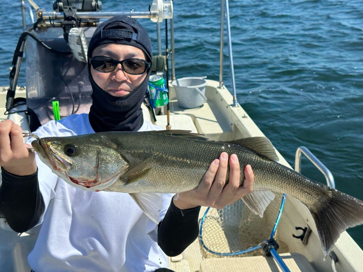 KAZUボート 釣果さんの釣果 2枚目の画像