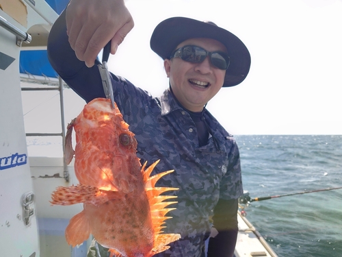 カワハギの釣果