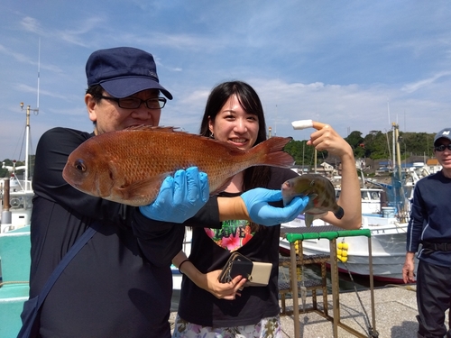 マダイの釣果