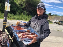 スルメイカの釣果