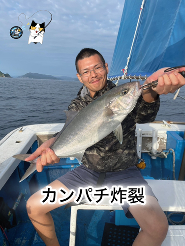 カンパチの釣果