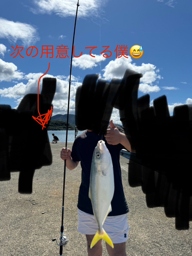 ツバスの釣果