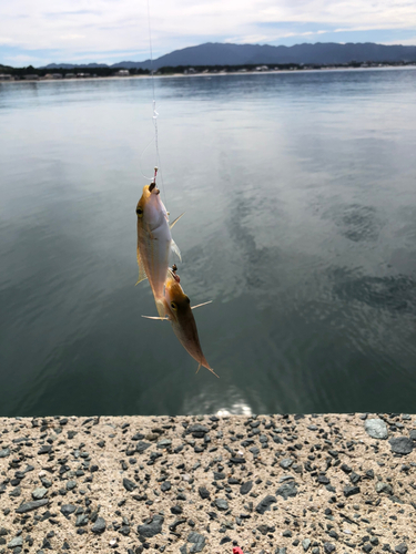 釣果