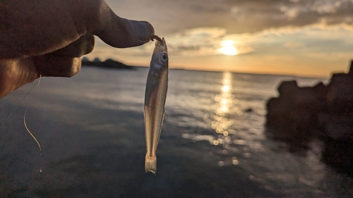 網代浜海水浴場