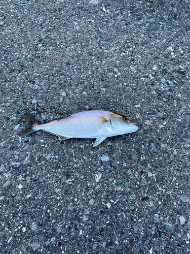 マリナタウン海浜公園