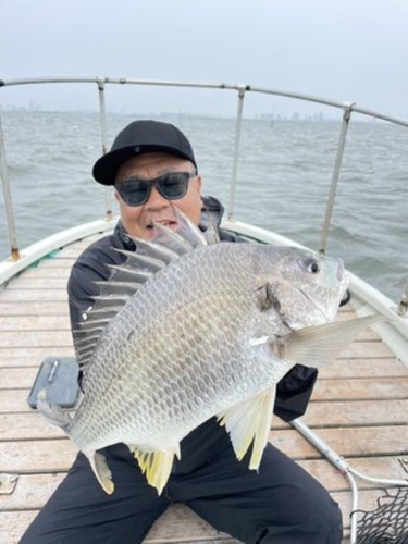 クロダイの釣果