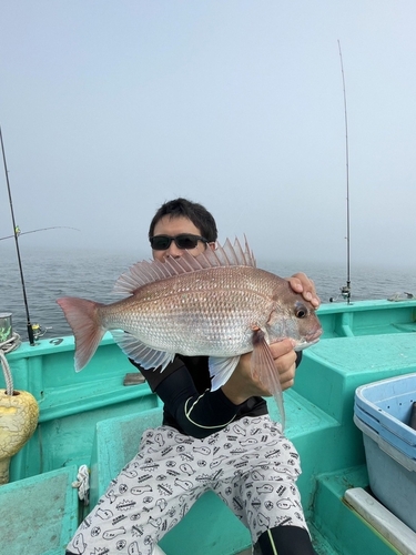 マダイの釣果