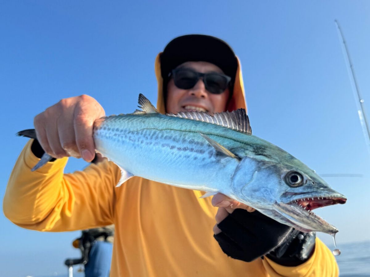 KAZUボート 釣果さんの釣果 2枚目の画像