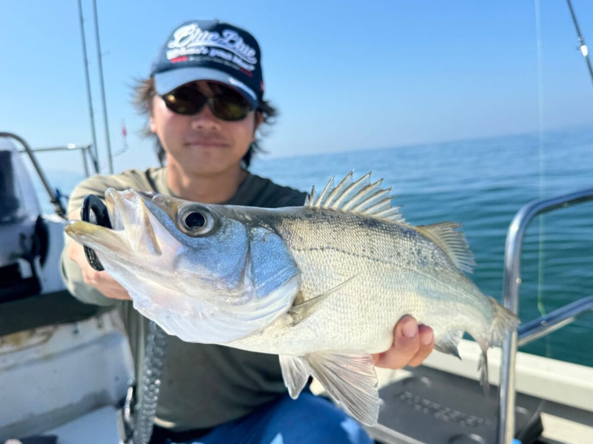 KAZUボート 釣果さんの釣果 3枚目の画像