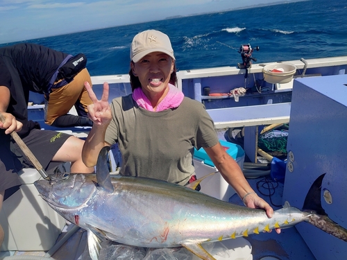 キハダマグロの釣果