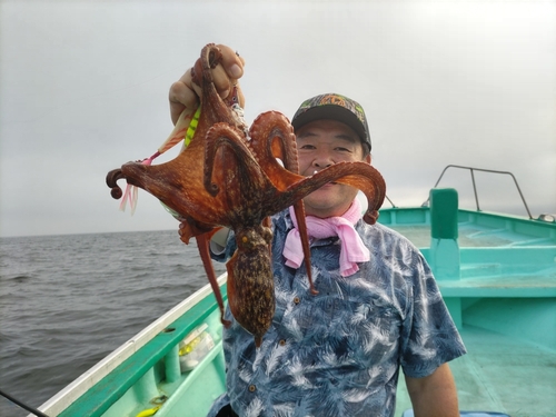 マダコの釣果