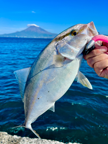 鹿児島湾南部