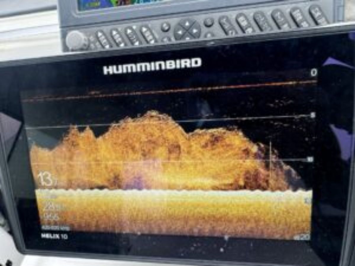 BAY WORKS TOKYO 釣果さんの釣果 3枚目の画像