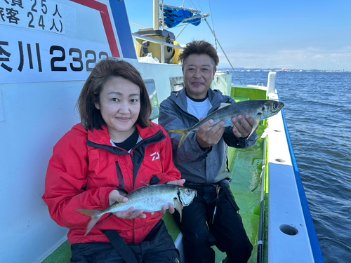 マアジの釣果