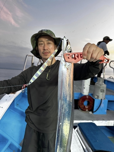 タチウオの釣果