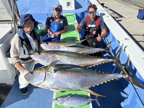 キハダマグロの釣果