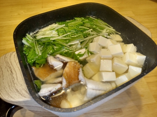 アオハタの釣果