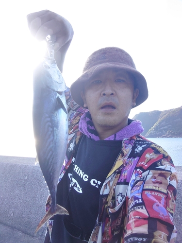 カツオの釣果