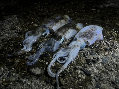 網代浜海水浴場