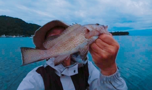 オオモンハタの釣果