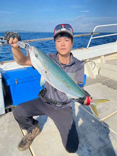 ヤズの釣果