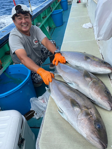 カンパチの釣果