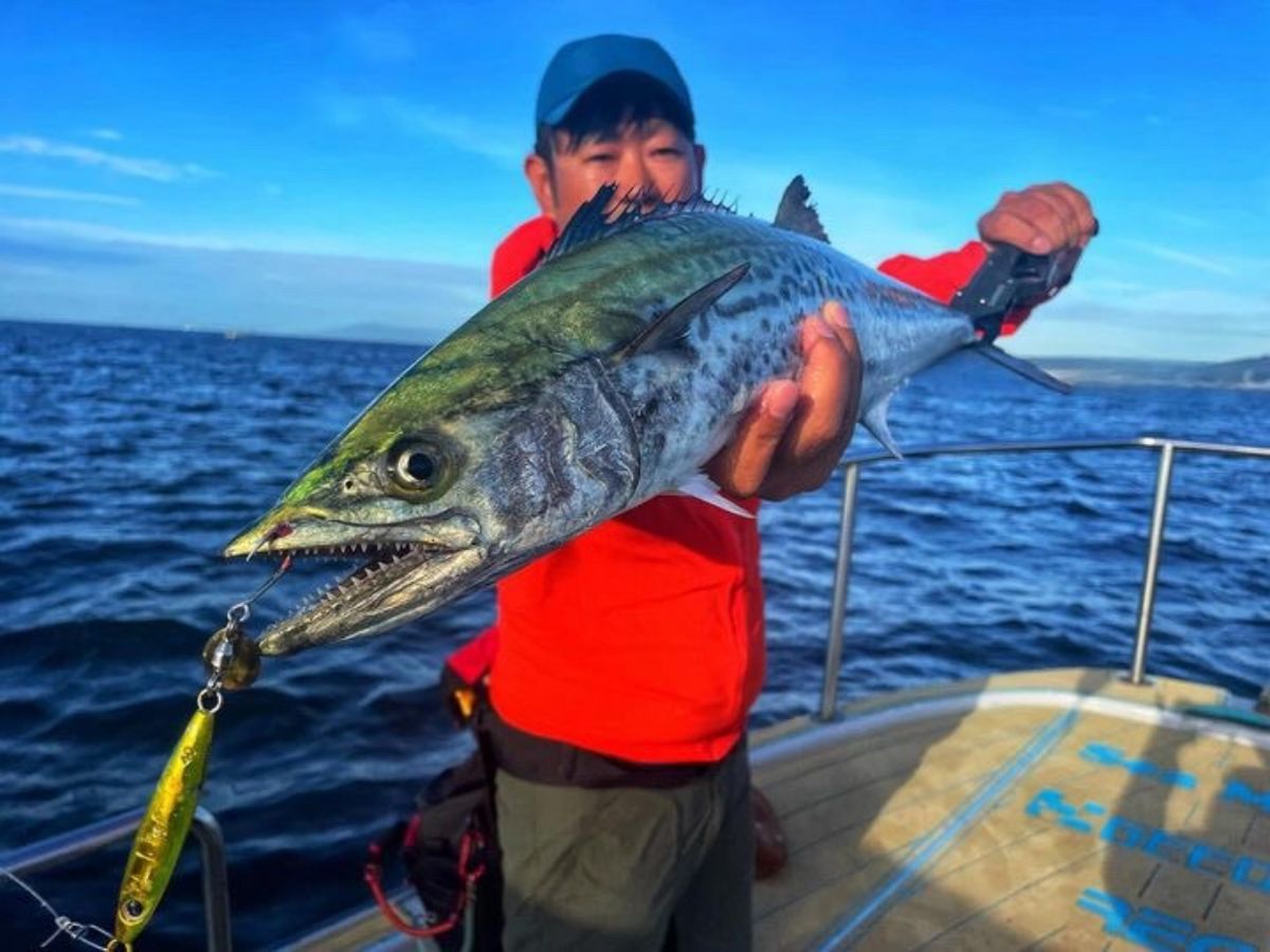 伽藍洞さんの釣果 1枚目の画像