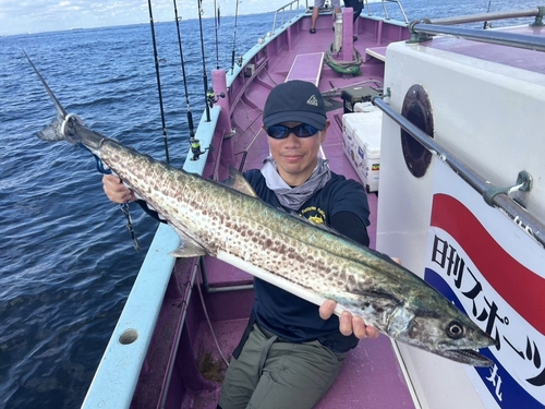 サワラの釣果