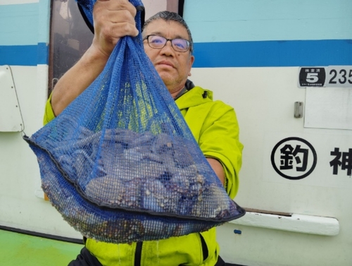 マダコの釣果