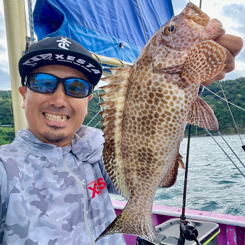 オオモンハタの釣果