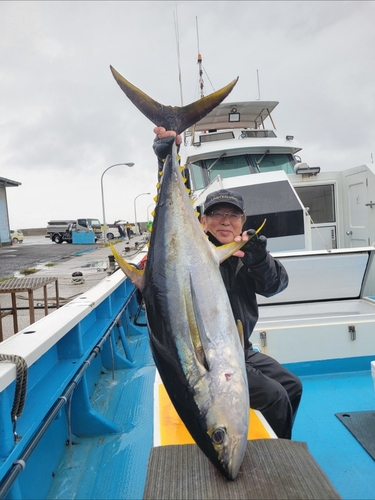 キハダマグロの釣果