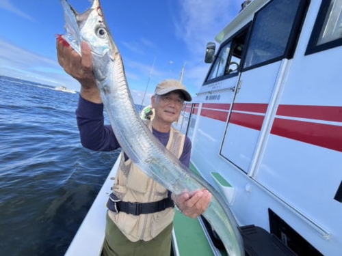 タチウオの釣果