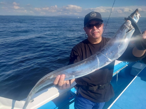 タチウオの釣果