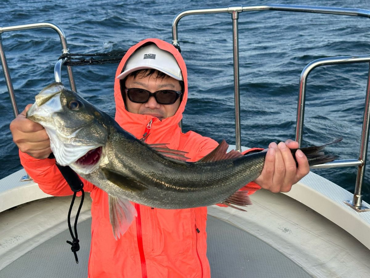 KAZUボート 釣果さんの釣果 2枚目の画像