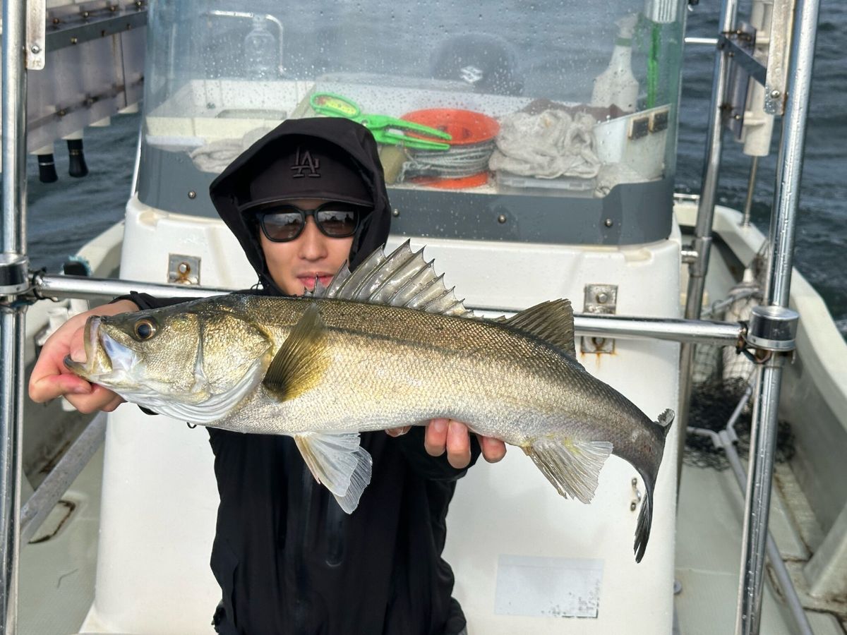 KAZUボート 釣果さんの釣果 3枚目の画像