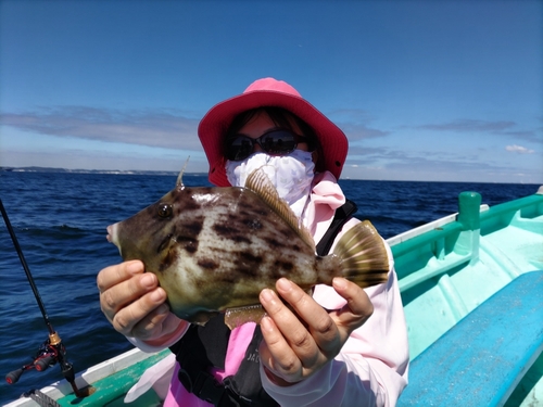 カワハギの釣果