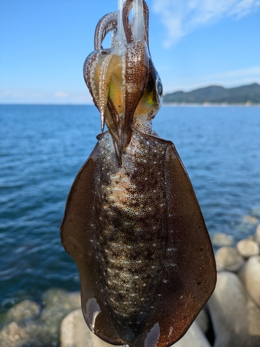 黒島（新居浜）