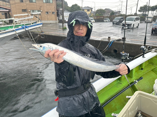 マアジの釣果