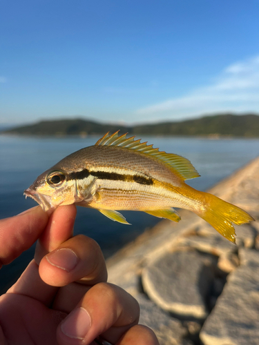 釣果