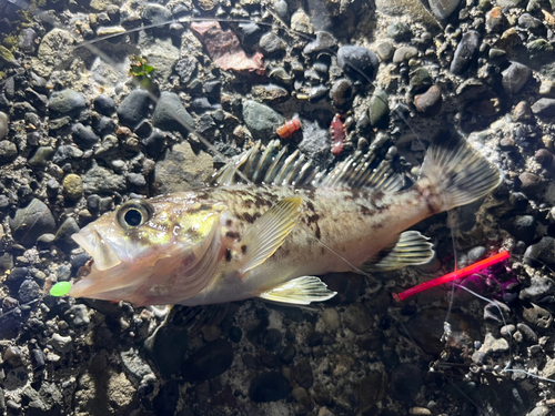 石狩湾新港