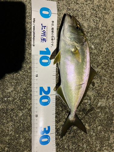 釜石湾