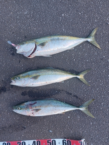 住吉漁港（北海道）