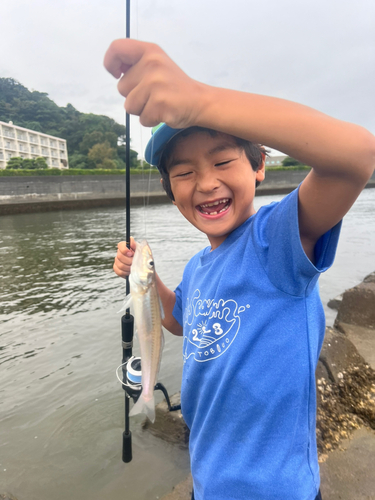 キスの釣果