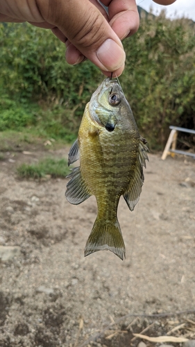 大石公園